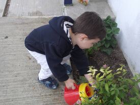 Jardin Au jardin, quand on en a l'occasion, on plante, arrose, désherbe...et découvre!