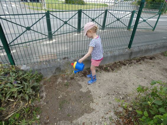 Activité jardin à Trotti'Nous Activité jardin à Trotti'Nous