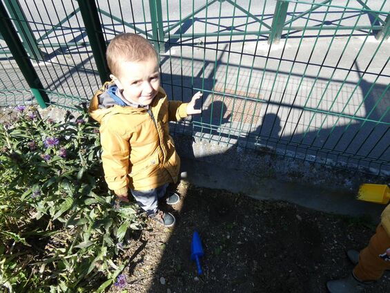 Activité jardin à Trotti'Nous Activité jardin à Trotti'Nous
