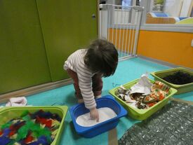 Le parcours sensoriel Avec le parcours sensoriel, l'enfant peut toucher avec ses mains ou ses pieds. En fonction des contenus et des textures, on stimule la vue, le toucher, l'odorat et l'ouïe.