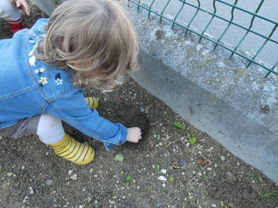 Activité jardin à Trotti'Nous Activité jardin à Trotti'Nous