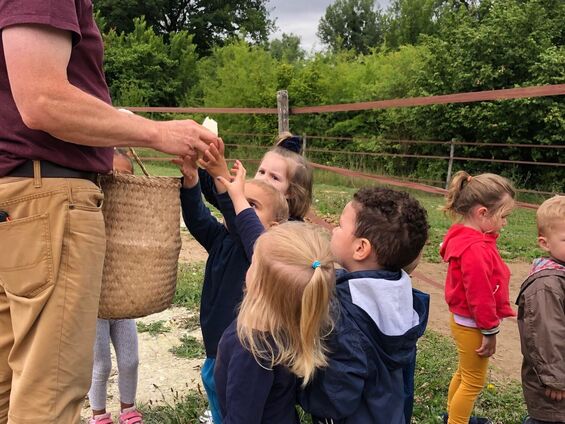 Ferme de Variscourt