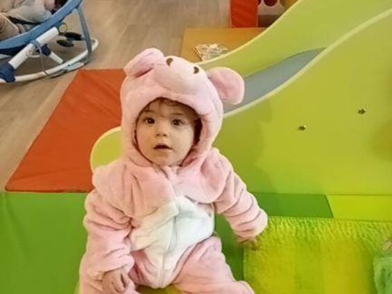 un cochon