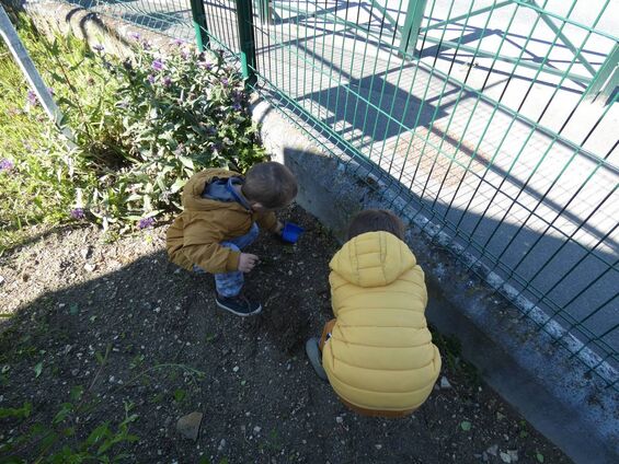 Activité jardin à Trotti'Nous Activité jardin à Trotti'Nous