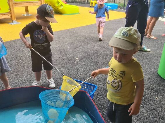 pêche aux canards