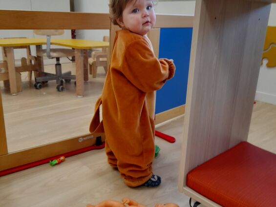 un lionne