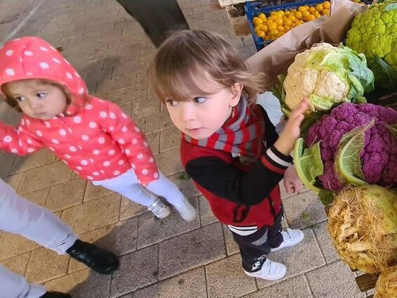Découverte des fruits et légumes