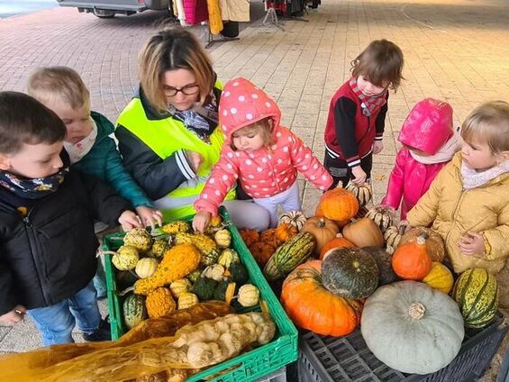 Les coloquintes