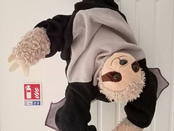 La mascotte de la crèche, TINOU, se déguise en chauve-souris !