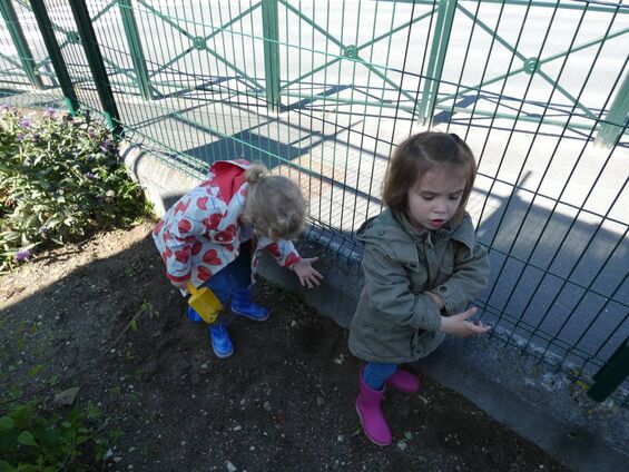 Activité jardin à Trotti'Nous Activité jardin à Trotti'Nous