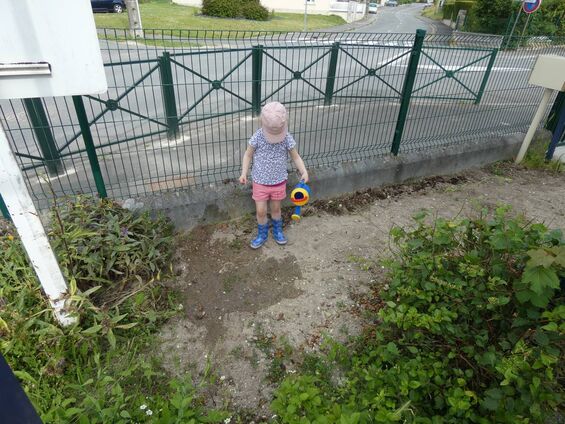 Activité jardin à Trotti'Nous Activité jardin à Trotti'Nous
